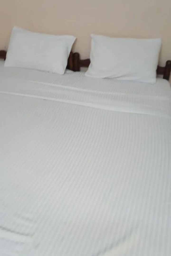 Paradise Homestay Alwaye Bed & Breakfast